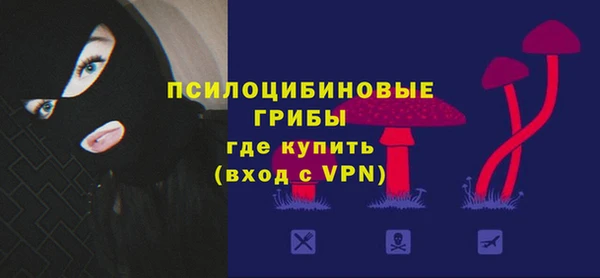 винт Алзамай