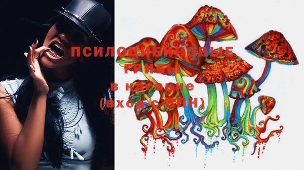 винт Алзамай