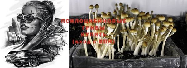 винт Алзамай