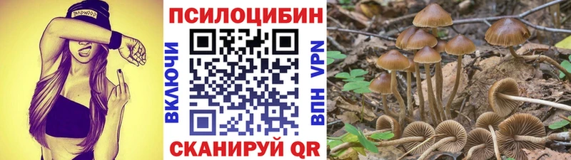 Галлюциногенные грибы Psilocybine cubensis  Усолье-Сибирское 